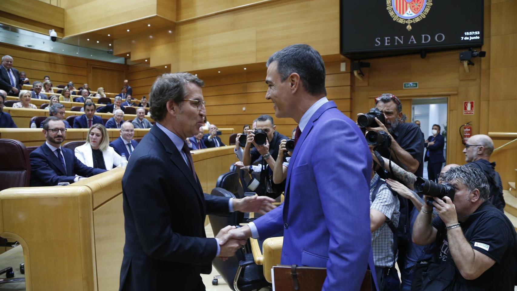 Alberto Núñez Feijóo y Pedro Sánchez se saludan, el pasado 7 de junio, antes de su cara a cara en el Senado.