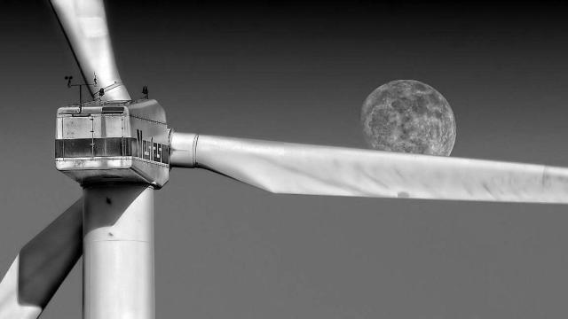 Elevation Ventures tendrá un enfoque global en startups con soluciones climáticas.