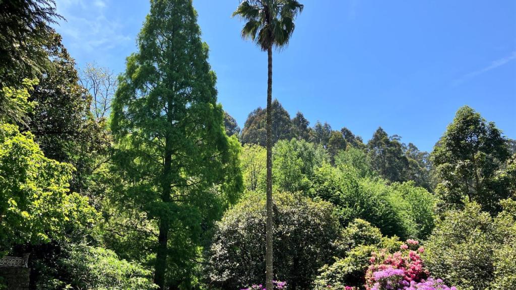 El jardín botánico de Lourizán, distinguido por la Asociación Ibero-Macaronésica de Jardines Botánicos.
