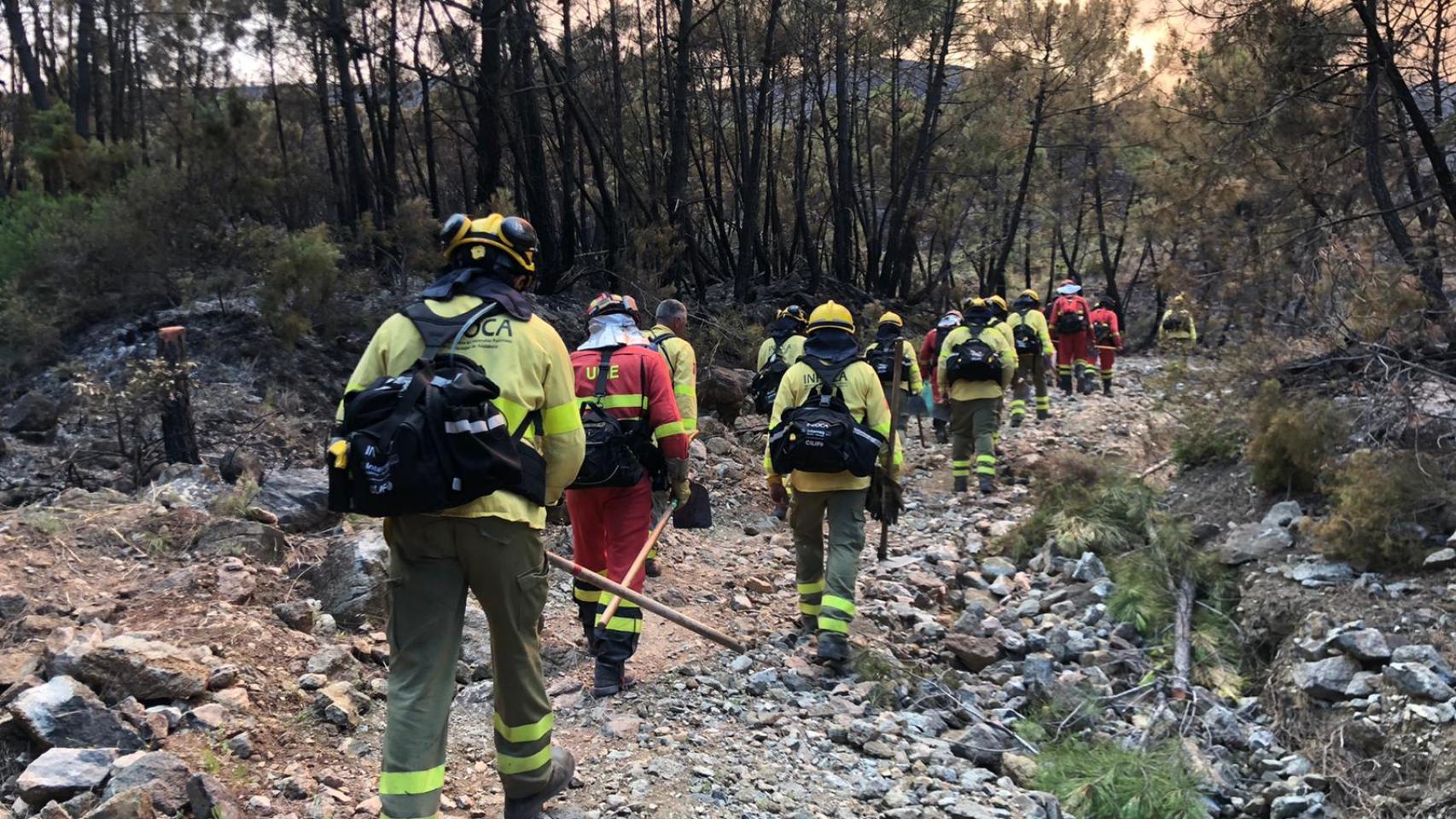 Un grupo de operarios del Infoca, en el incendio de Pujerra.