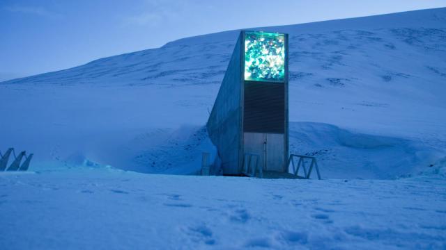 El banco mundial de semillas de Svalbard, Premio Princesa de Cooperación Internacional 2026.