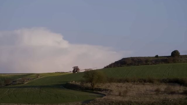 Flor de Esgueva aporta su granito de arena para luchar contra la despoblación rural