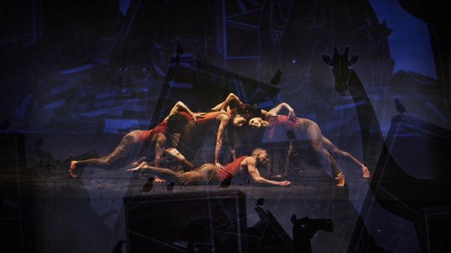 Escena del espectáculo. Foto: Ambra Vernuccio