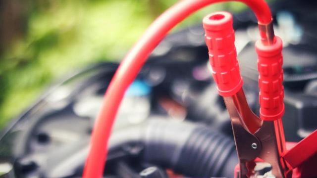 Cargador inteligente de batería de coches