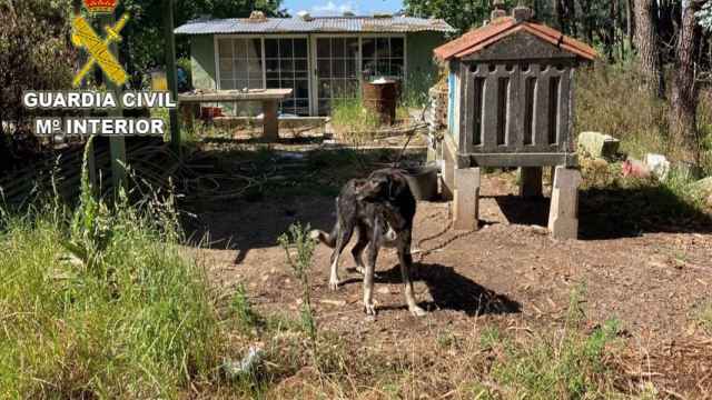 Lugar donde habitaban los animales.