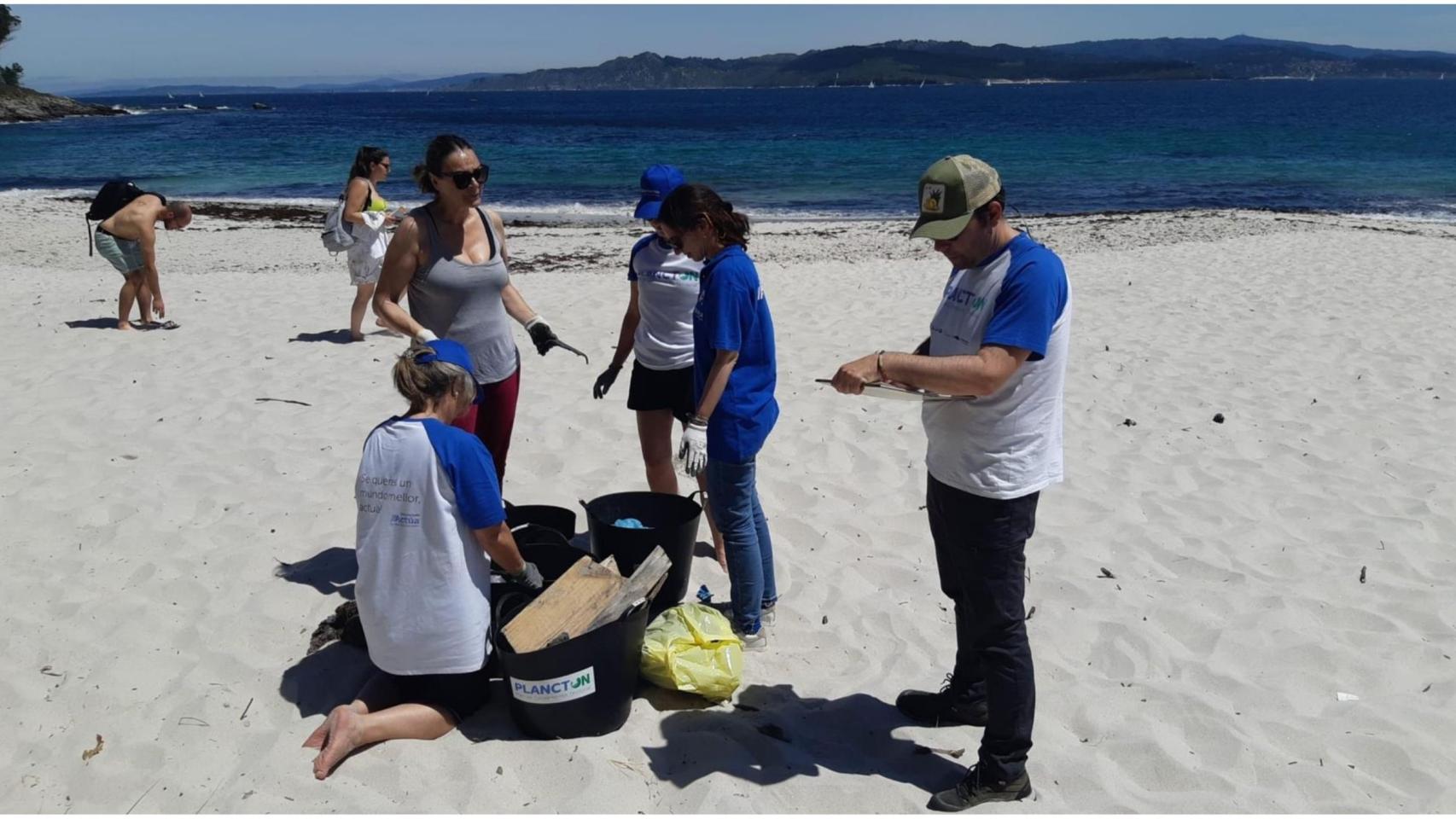 Los voluntarios durante la recogida.