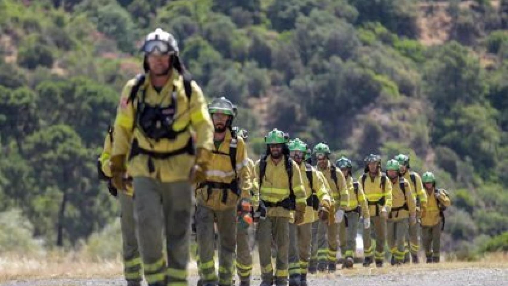 Bomberos forestales en el incendio de Pujerra.