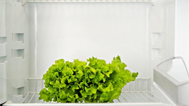 ¿Tomamos peores decisiones con el frigorífico a rebosar?