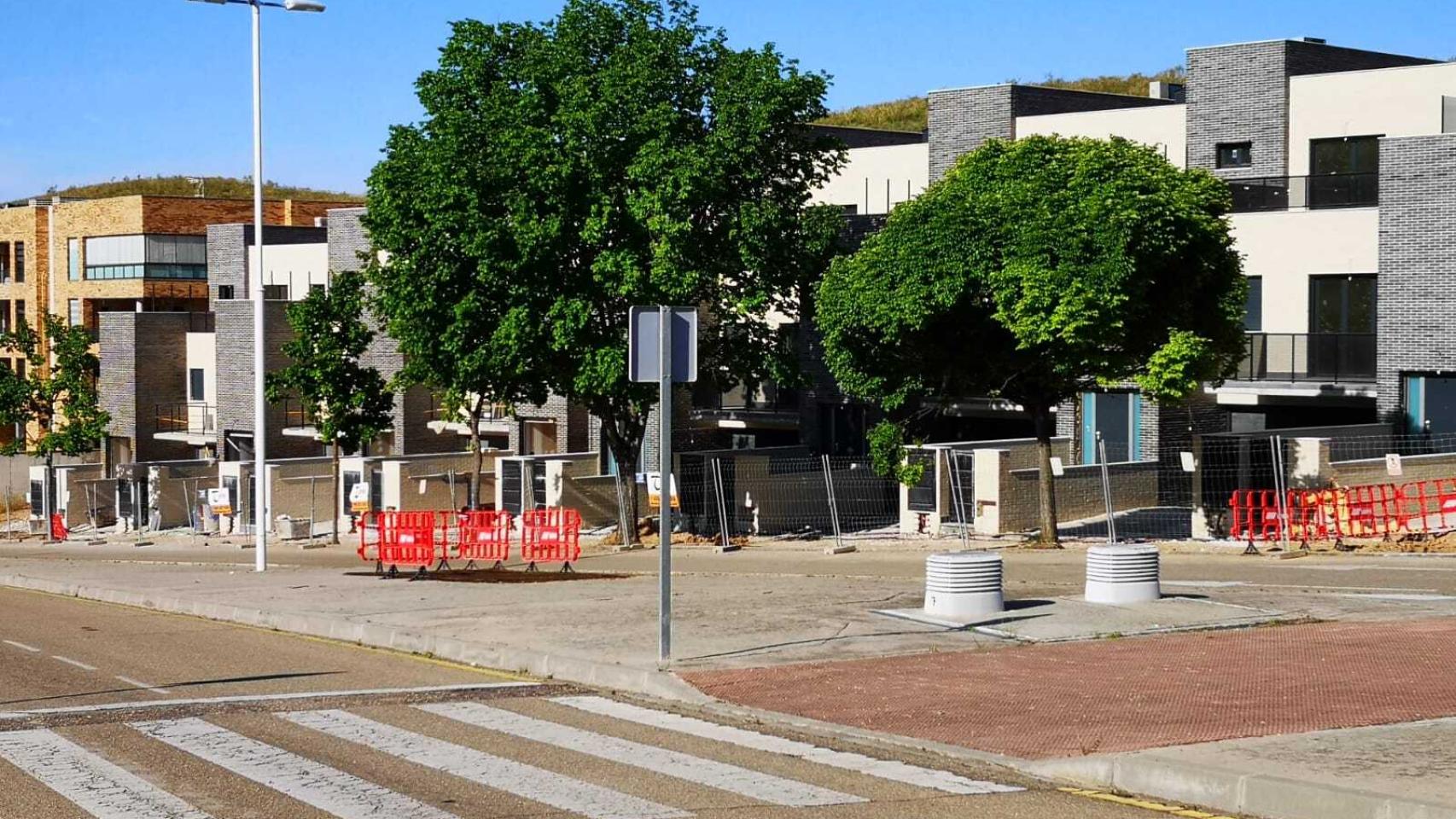 Los árboles del barrio toledano de La Legua que han sido talados.