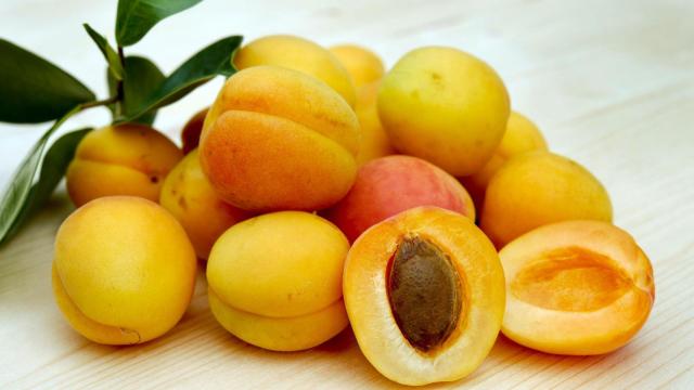 Albaricoques