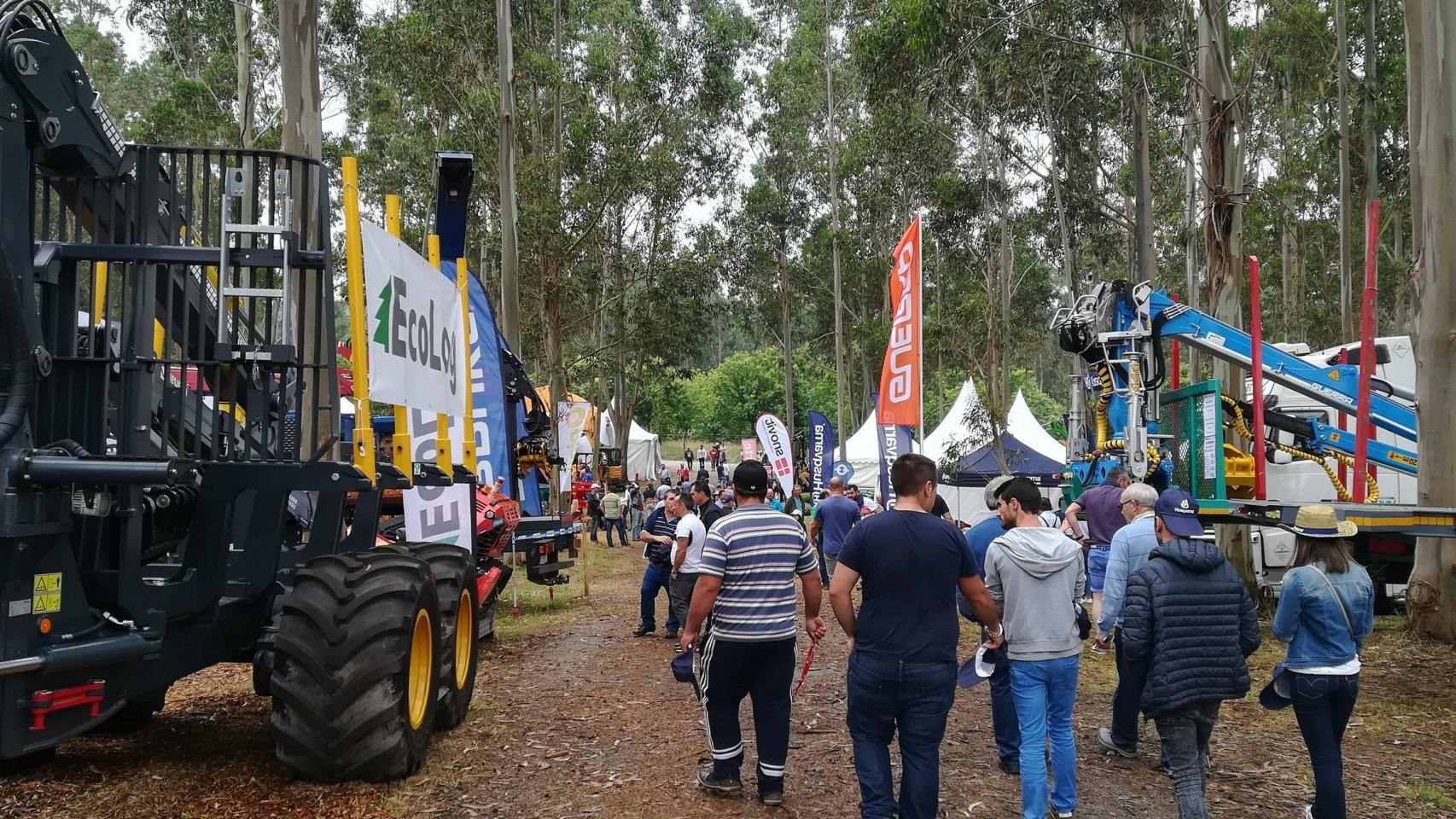 Última edición Galiforest ABANCA, 2018.