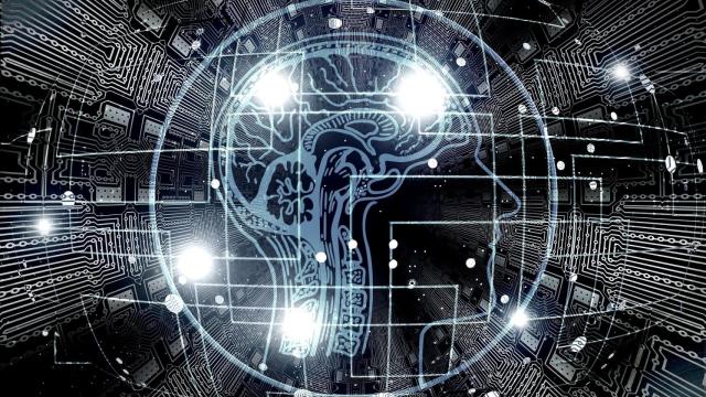 Algoritmos, consciencia… y estupidez