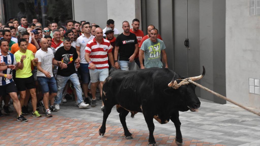 Imagen de archivo del Toro Enmaromado en Benavente.