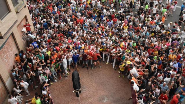 Toro Enmaromado 2022 en Benavente