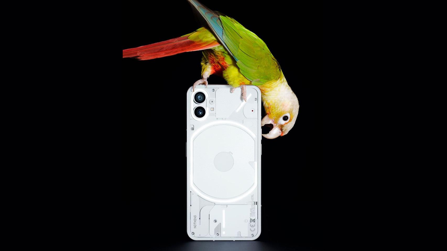 Nothing phone (1)