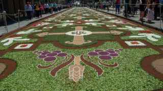 Alfombras florales de Ponteareas (Pontevedra).