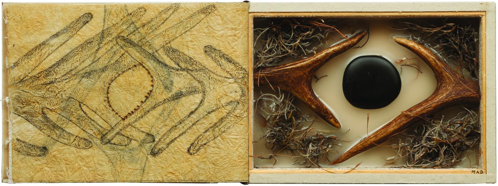 Libro-caja 1137  de Miguel Ángel Blanco