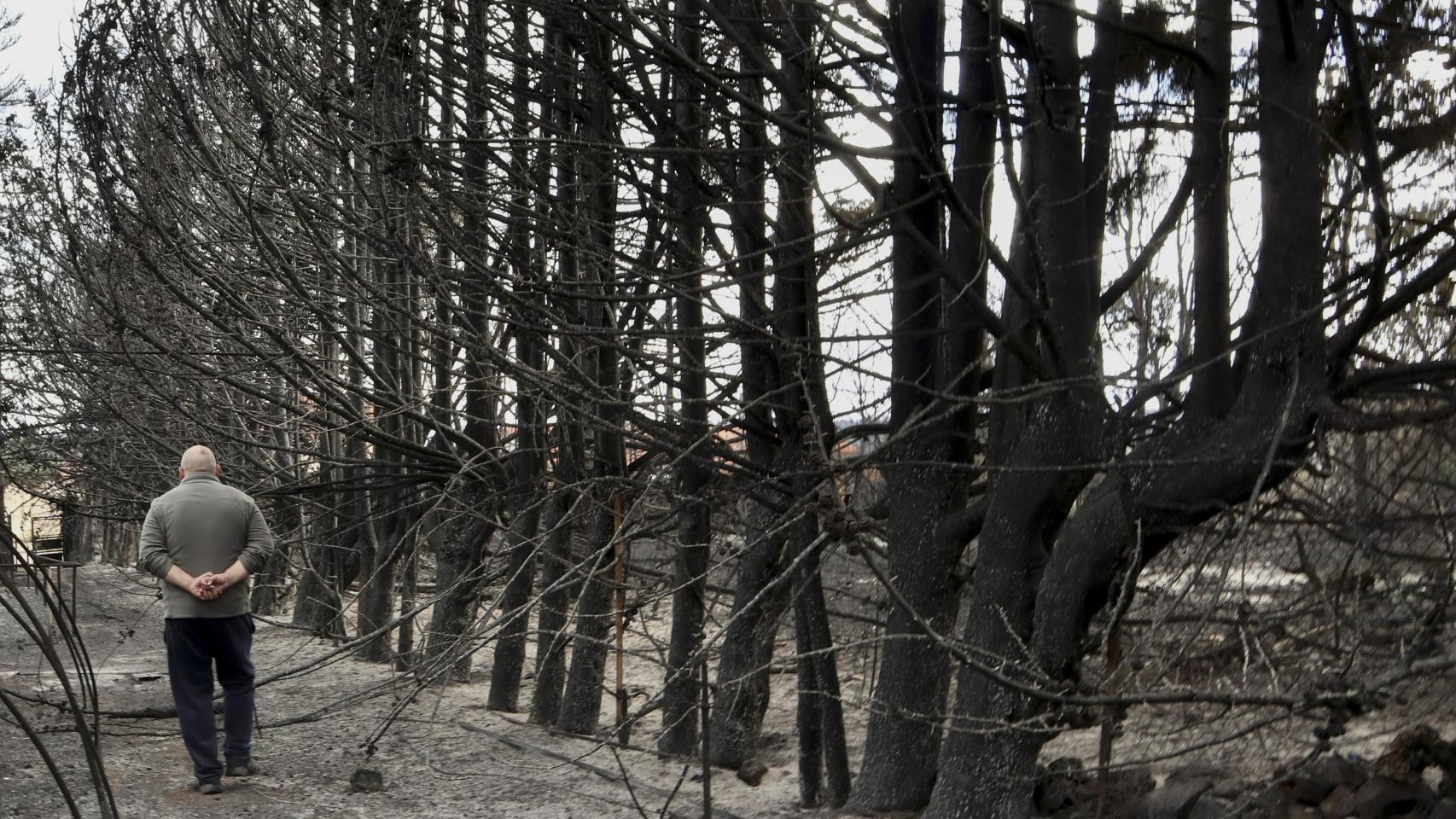 Vista general de los daños producidos por el incendio en Otero de Bodas (Zamora), en la sierra de la Culebra este domingo.