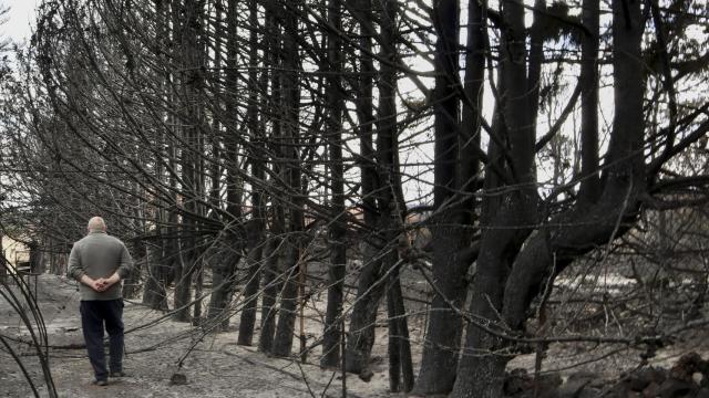 Vista general de los daños producidos por el incendio en Otero de Bodas (Zamora), en la sierra de la Culebra este domingo.