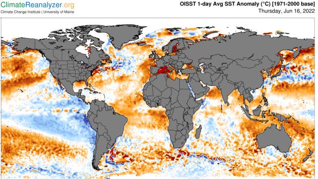 Mapa de la temperatura de mares y océanos compartido por la UA, con el mediterráneo en rojo.