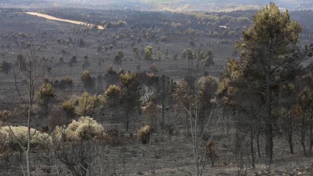 Estado en el que ha quedado la Sierra de la Culebra
