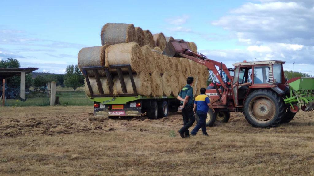 Momento de la entrega de las pacas de paja procedentes de Tábara a uno de los ganaderos