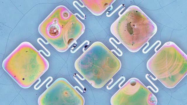 Así son las células solares para los marcapasos.