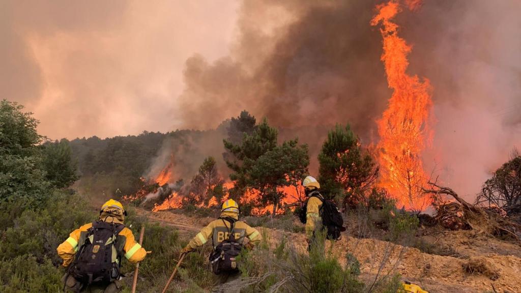 Efectivos luchando contra el fuego de la Sierra de la Culebra en 2022