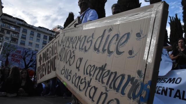 Manifestación por la Sierra de la Culebra en Zamora