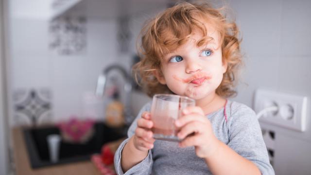 “Los batidos tienen mucho azúcar y no alimentan”: ¿qué hay de cierto?