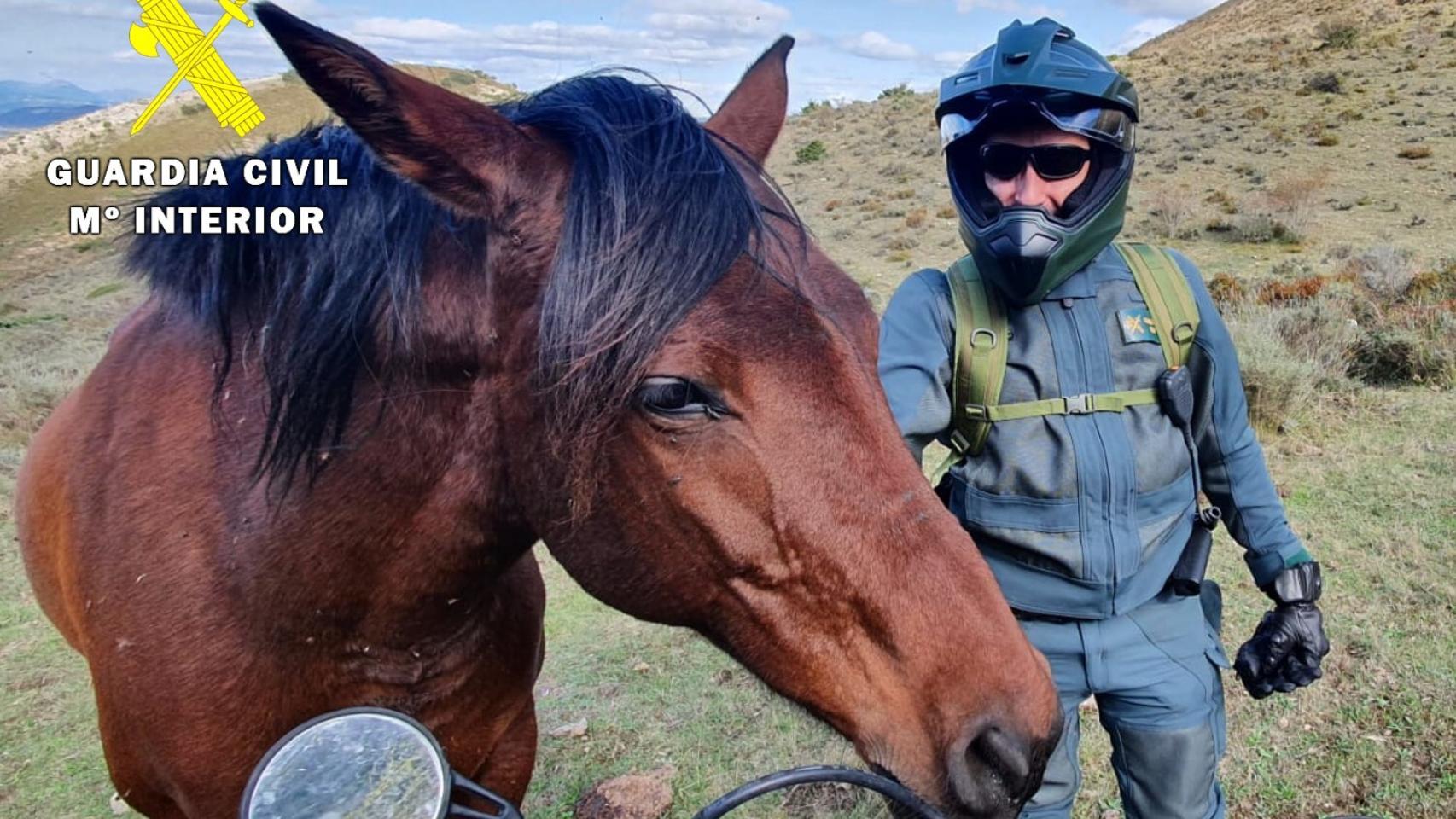 La Guardia Civil con uno de los caballos