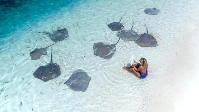 Ana Hernández Sarriá junto a varias mantas raya