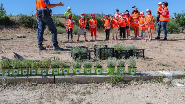 Los escolares de Barruecopardo plantan árboles en la mina de Saloro