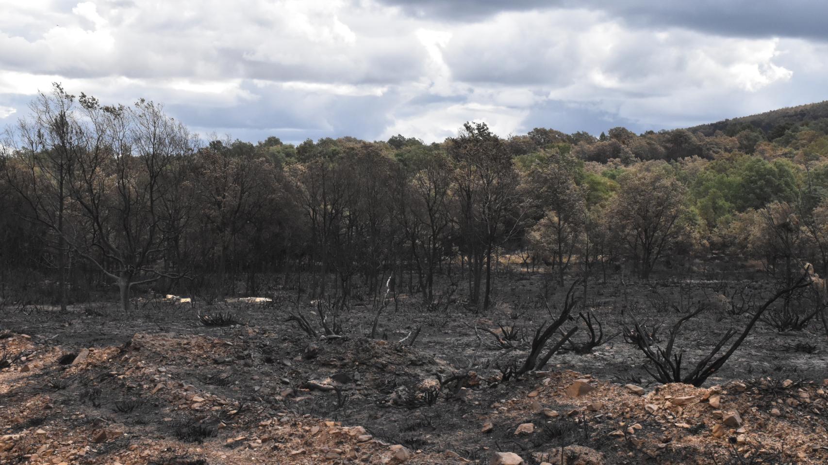Días después del incendio en la Sierra de la Culebra
