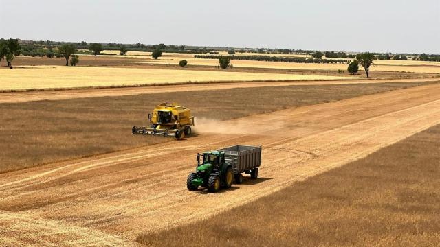Maquinaria agrícola trabajando en la cosecha del cereal