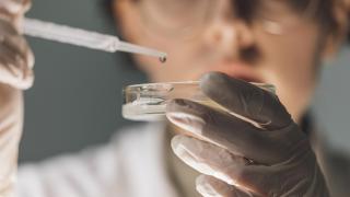 Una científica investiga un cultivo de laboratorio.