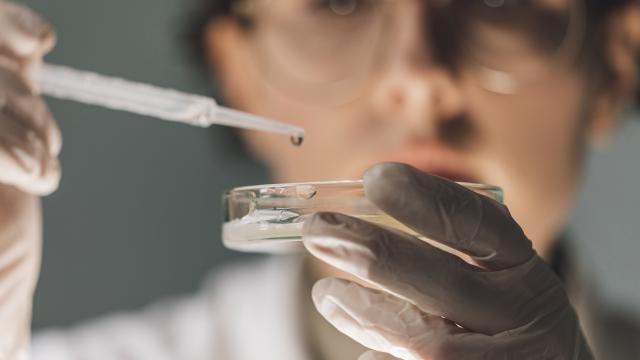 Una científica investiga un cultivo de laboratorio.