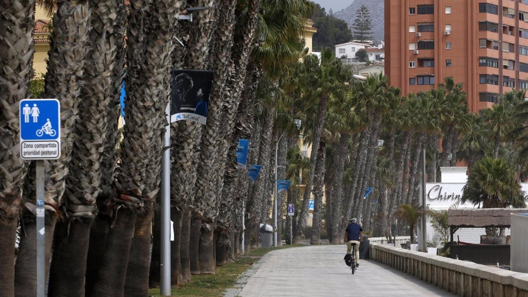 Imagen de archivo del paseo marítimo Pablo Ruiz Picasso, en Málaga.