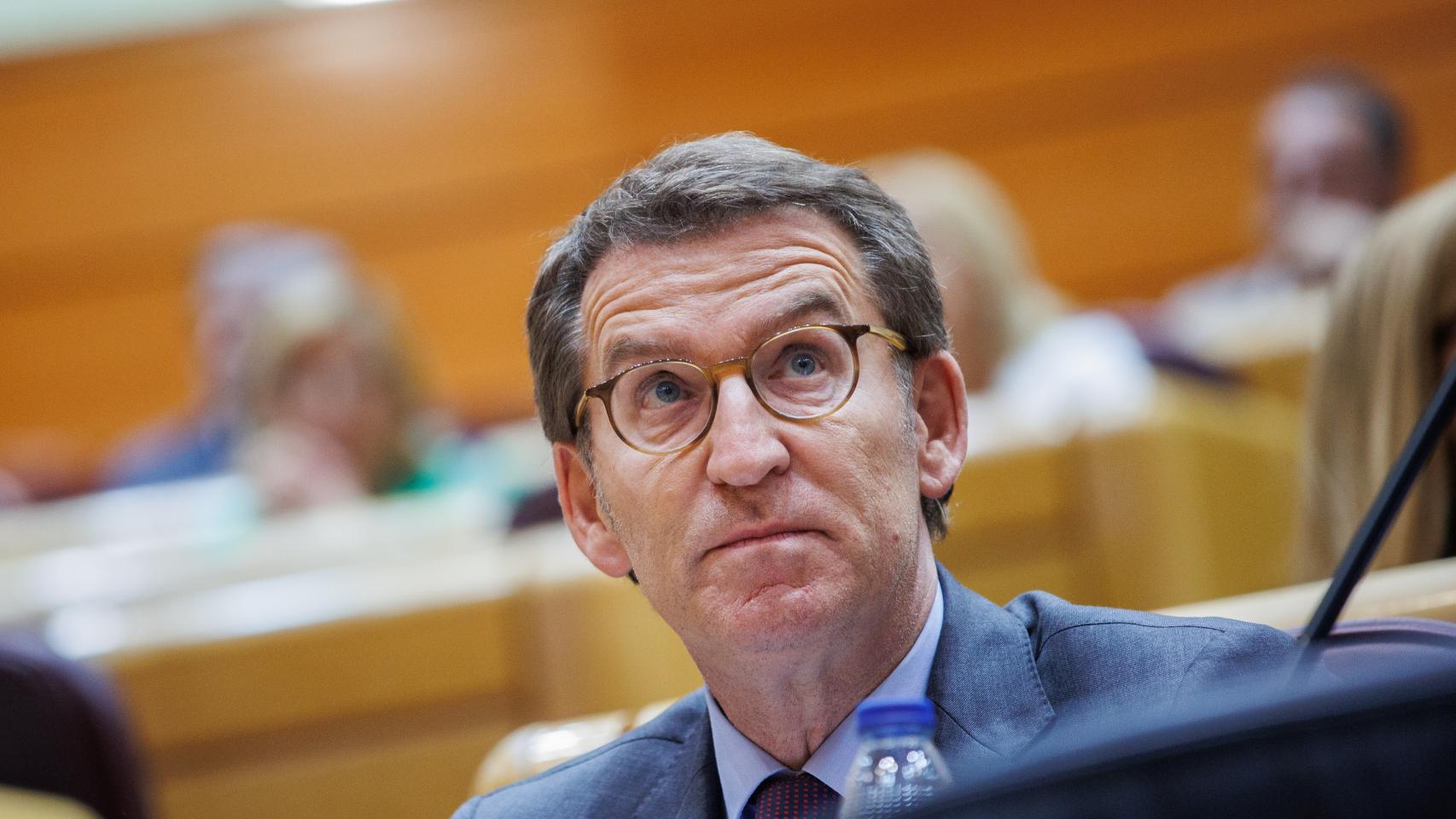 Imagen de archivo del líder del PP, Alberto Núñez Feijóo, durante una sesión plenaria en el Senado.