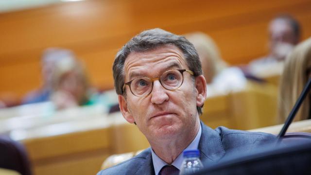 El líder del PP, Alberto Núñez Feijóo, durante una sesión plenaria en el Senado.
