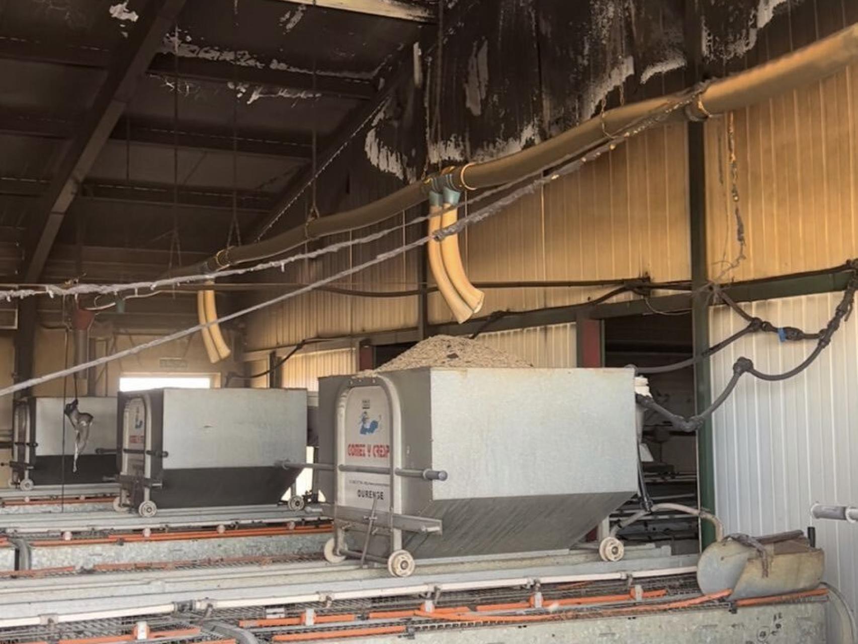 Imagen de la explotación agrícola tras el incendio de este domingo.
