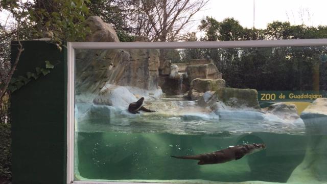 Zoo de Guadalajara