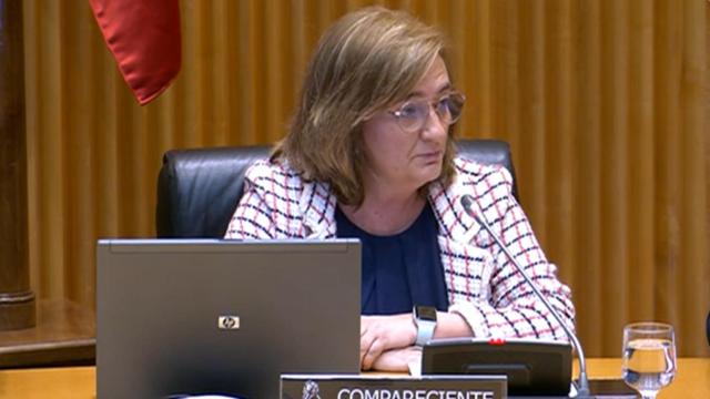 La presidenta de la AIReF, Cristina Herrero, en el Congreso.