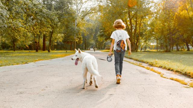 El abuso se produjo en la calle cuando la menor paseaba a su perro.