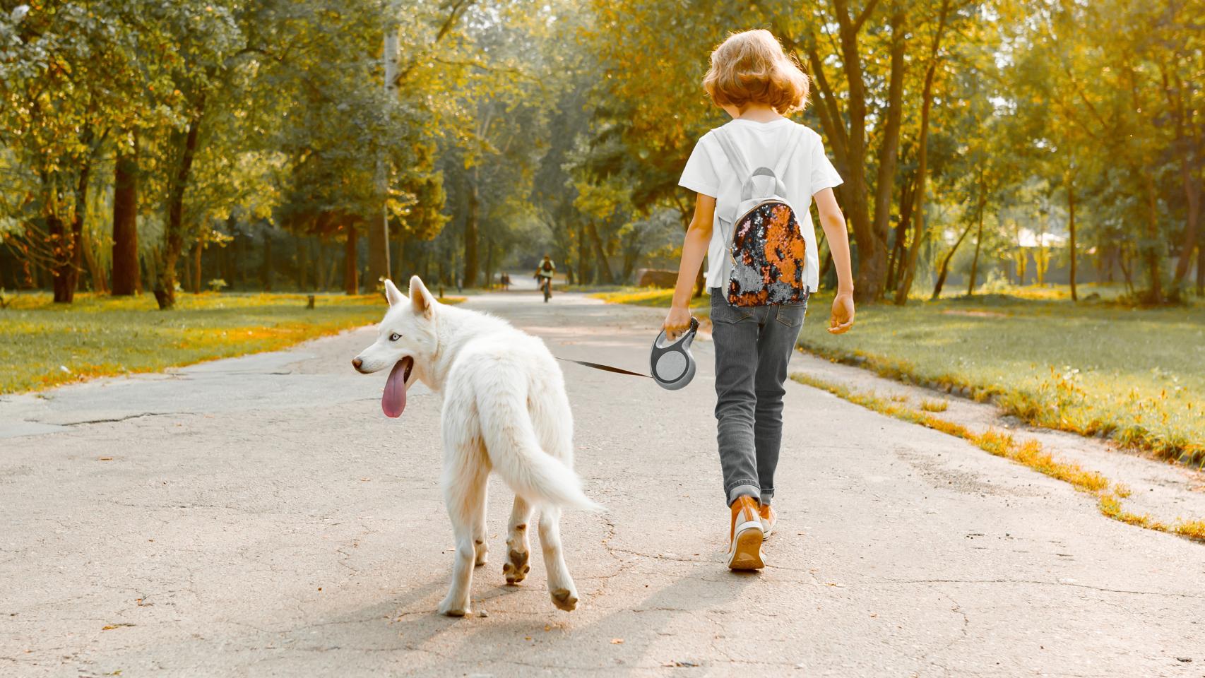 Paseando a un perro
