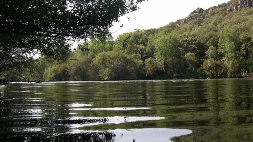 Tabla de la Yedra en Piedrabuena (Ciudad Real).