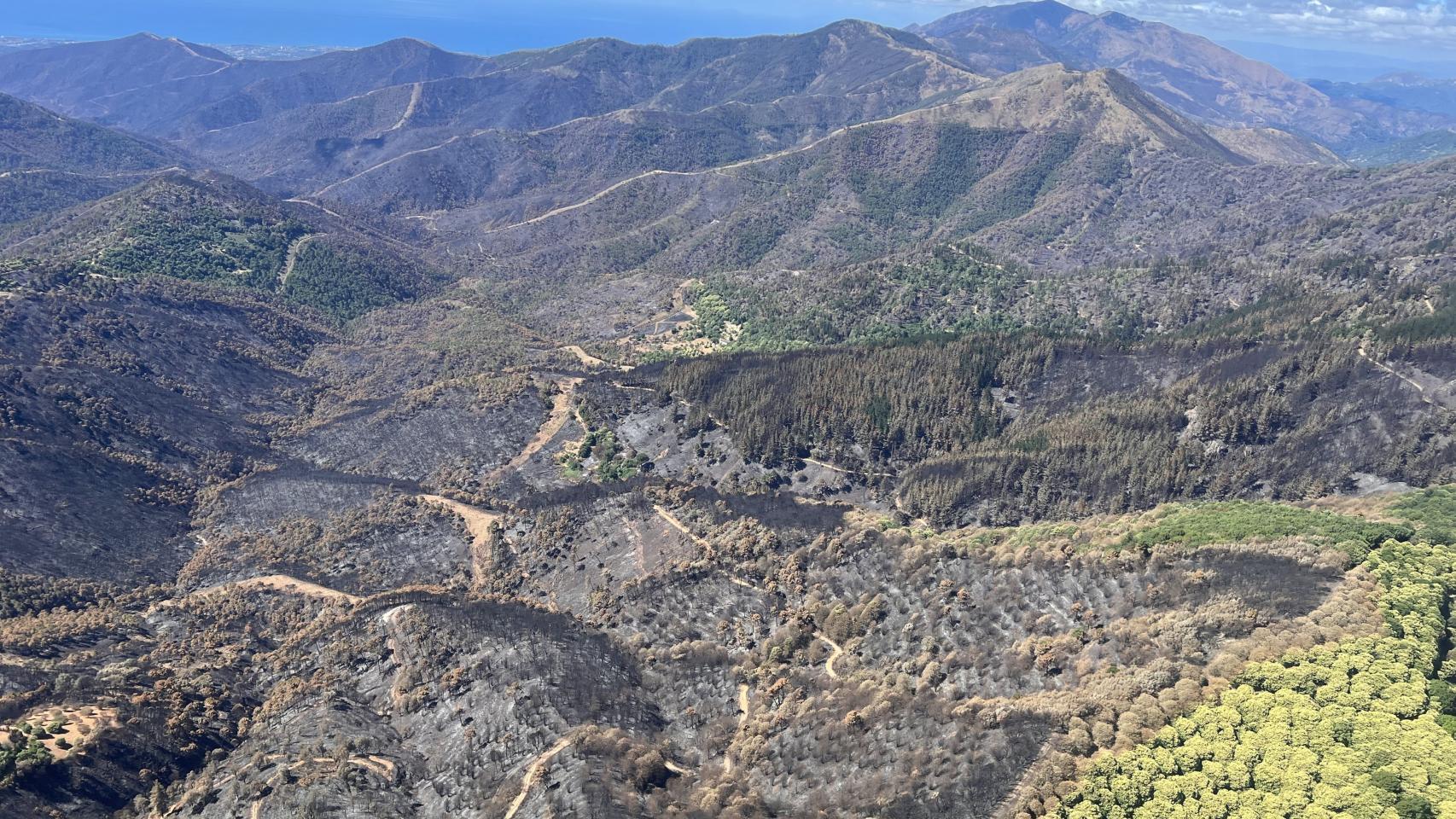 El rastro de las llamas tras la extinción del incendio de Pujerra, a vista de pájaro.