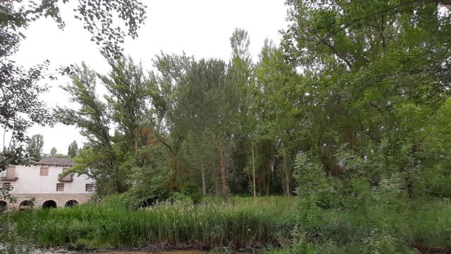 Río Duratón en Peñafiel