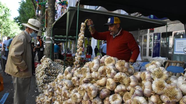 Feria del Ajo en Zamora 2022