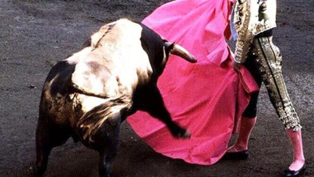 Corrida de toros